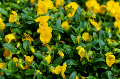 益阳市殡仪馆全面推进服务设施升级与环境优化