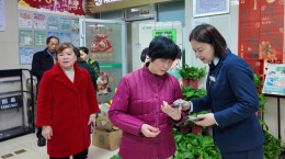 快递盒免费换绿植！衡山邮政启动环保公益活动，倡导绿色低碳生活