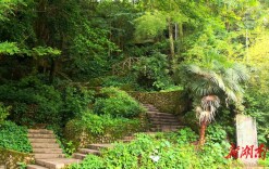 诗｜熊福：谒沈从文墓