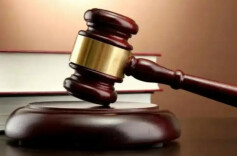 销售伪劣种子、不合格化肥……“农资打假”刑事典型案例发布