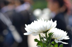 衡阳县：细雨寄哀思 文明润心田