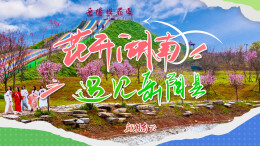 花开湖南④｜遇见岳阳县：万枝春色醉巴陵