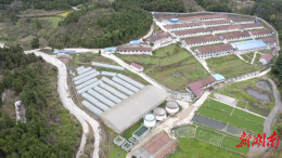 兴隆农业：二十余载“种养循环”路 智慧赋能“生态致富”