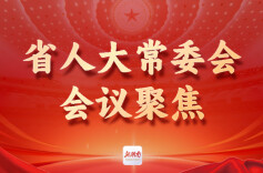 省人大常委会审议2025年法治政府建设和依法行政情况的报告