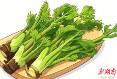 春食野菜 避开误区