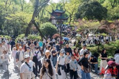 春和景明好出游