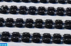 存闲置、在线交易，专家带你读懂“算力银行”“算力超市”