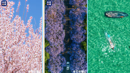 Color Walk 绝佳合集！值得收藏