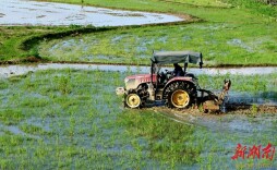 图集|清明时节农事忙