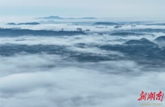 图集|晨雾美如画