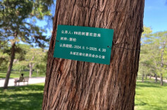 4月4日启幕，首都树木静待认养，等您冠名守护