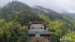 清明·踏春⑩丨鲜花代祭 文明追思