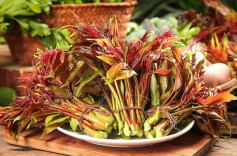 假期·餐饮｜青团、香椿怎么吃 这些清明春味这样吃更健康