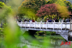 清明游玩黄龙洞，不负满园好春光（组图）