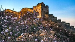 清明：风清景明处 追思伴春生