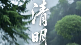 今日清明