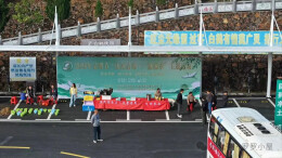 移风易俗谱新章 清明祭扫暖人心