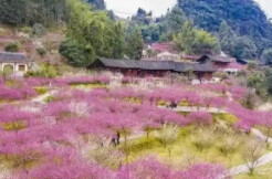 “神秘湘西走个春·最爱湘西浪漫季”启幕@湖南日报