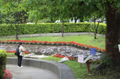 清明·涨知识丨清明节为啥不“属”农历“属”公历