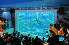 海底“踏青”  探秘海洋