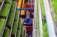 Intelligent Seedling Cultivation Plant Helps to Prepare for Spring Farming