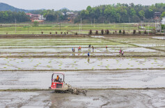 图集 | 清明时节耕作勤