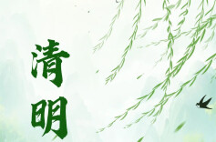 清明节为啥不“属”农历“属”公历？