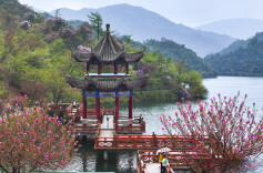 山花烂漫引客来