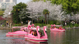 清明出游正当时