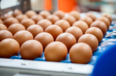 胖东来再回应“鸡蛋检出角黄素”：检测结果全合格，将依法维权