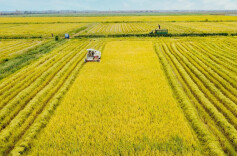 Huaihua's Agri-exports Surge in First Two Months