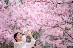 春假清明叠加释放消费活力，这个“小黄金周”您去哪儿了？