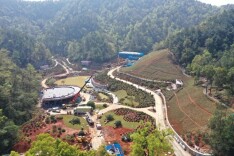 韶山红霞谷项目全速推进，五月一日正式开园！