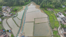 桂东大塘：小龙虾抢“鲜”上市 稻虾共生促振兴