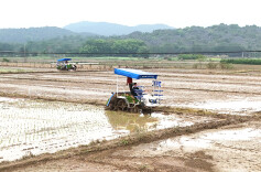 “铁牛”闹春耕