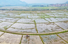 翻耕农田备插秧