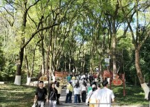 假期第二天，郴州文旅市场热度不减