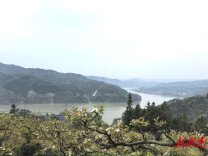 清明，赴一场与祖先、乡土、自己的约定