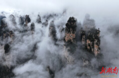 不止于世界的脚步，更在于自信的回响——评“国际张”的国际范