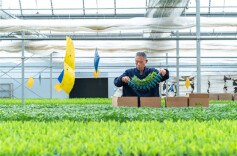 Technology Empowers Seedling Cultivation to Boost Farmers' Income