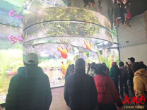 开局八好·乘势而上｜“走进东健康养基地，不虚此行！”   衡东县康养产业聚人气促消费