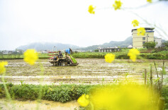 图集 | 春耕春管正当时