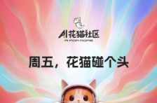 4月的每个周五，来花猫社区碰个头