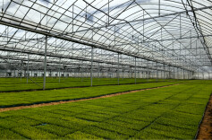 鼎城春耕插上“科技翅膀”@湖南日报