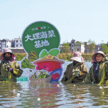 'Super veggies' spread their sales routes