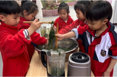 宜章县玉溪镇中心幼儿园教育集团开展清明主题活动