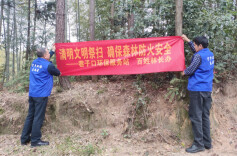 清明假期宁乡涌动“志愿红”：29个乡镇街道联动，守护生态与平安