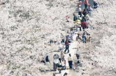 清明假期长沙接待游客498.59万人次，旅游消费18.03亿元！