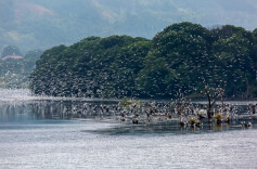 从“负”到“富”的潇水之变——双牌县美丽河湖建设纪实