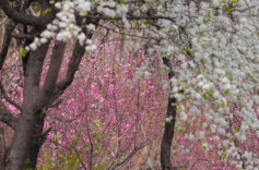 2026“我的寒假”主题征文投稿：寒假在养老院看到的“那束光”